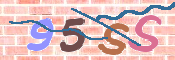 画像に表示された文字を入力して下さい