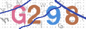 画像に表示された文字を入力して下さい