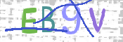 画像に表示された文字を入力して下さい
