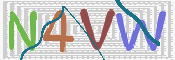 画像に表示された文字を入力して下さい