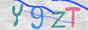 画像に表示された文字を入力して下さい