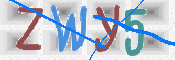 画像に表示された文字を入力して下さい