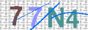 画像に表示された文字を入力して下さい
