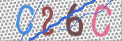 画像に表示された文字を入力して下さい