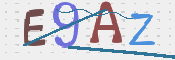 画像に表示された文字を入力して下さい