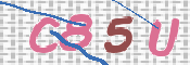 画像に表示された文字を入力して下さい