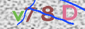 画像に表示された文字を入力して下さい