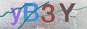 画像に表示された文字を入力して下さい