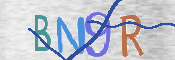 画像に表示された文字を入力して下さい