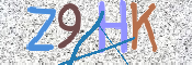 画像に表示された文字を入力して下さい