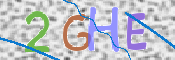 画像に表示された文字を入力して下さい
