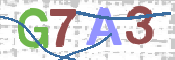 画像に表示された文字を入力して下さい