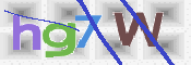 画像に表示された文字を入力して下さい