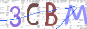 画像に表示された文字を入力して下さい