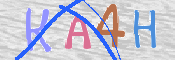 画像に表示された文字を入力して下さい