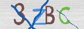 画像に表示された文字を入力して下さい