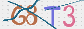 画像に表示された文字を入力して下さい