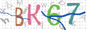 画像に表示された文字を入力して下さい