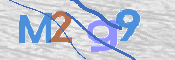 画像に表示された文字を入力して下さい