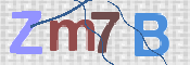 画像に表示された文字を入力して下さい
