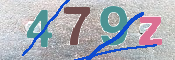 画像に表示された文字を入力して下さい