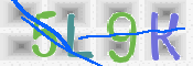 画像に表示された文字を入力して下さい