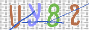 画像に表示された文字を入力して下さい