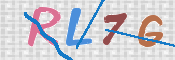 画像に表示された文字を入力して下さい