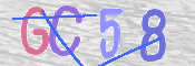 画像に表示された文字を入力して下さい