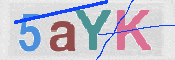 画像に表示された文字を入力して下さい