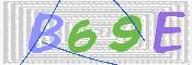 画像に表示された文字を入力して下さい