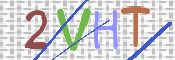 画像に表示された文字を入力して下さい