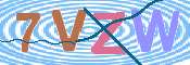 画像に表示された文字を入力して下さい