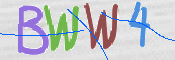 画像に表示された文字を入力して下さい