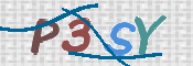画像に表示された文字を入力して下さい