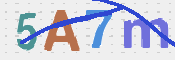 画像に表示された文字を入力して下さい