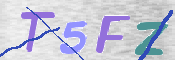 画像に表示された文字を入力して下さい