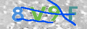 画像に表示された文字を入力して下さい