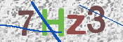 画像に表示された文字を入力して下さい