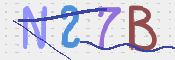 画像に表示された文字を入力して下さい