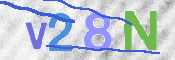画像に表示された文字を入力して下さい