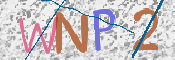 画像に表示された文字を入力して下さい