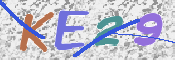 画像に表示された文字を入力して下さい