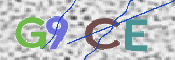 画像に表示された文字を入力して下さい