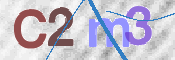 画像に表示された文字を入力して下さい